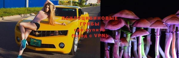 синтетический гашиш Арсеньев