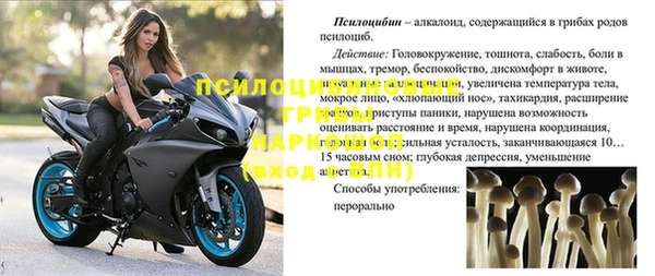 МДПВ Аркадак